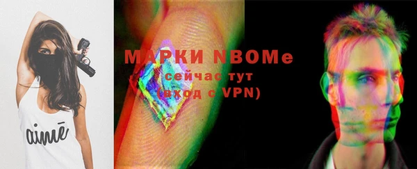 стафф Новозыбков