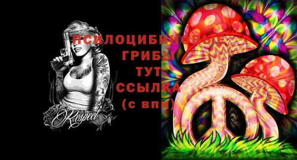 эйфоретик Новокубанск