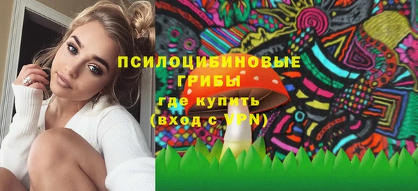 гашик Новодвинск
