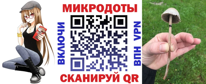Псилоцибиновые грибы GOLDEN TEACHER  Черемхово 